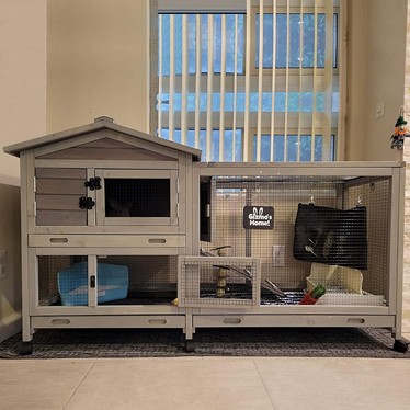Guinneen Bunny Cage