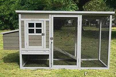 Premium Chicken Coop Plus