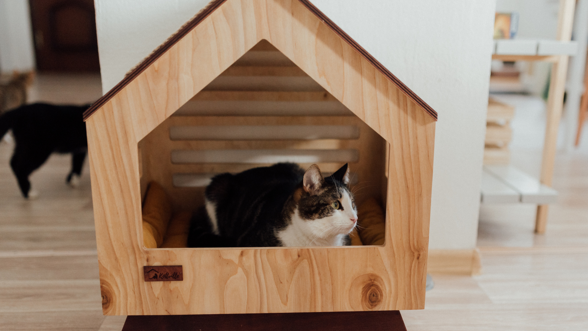 DIY Pet Furniture DIY Pet Furniture Projects