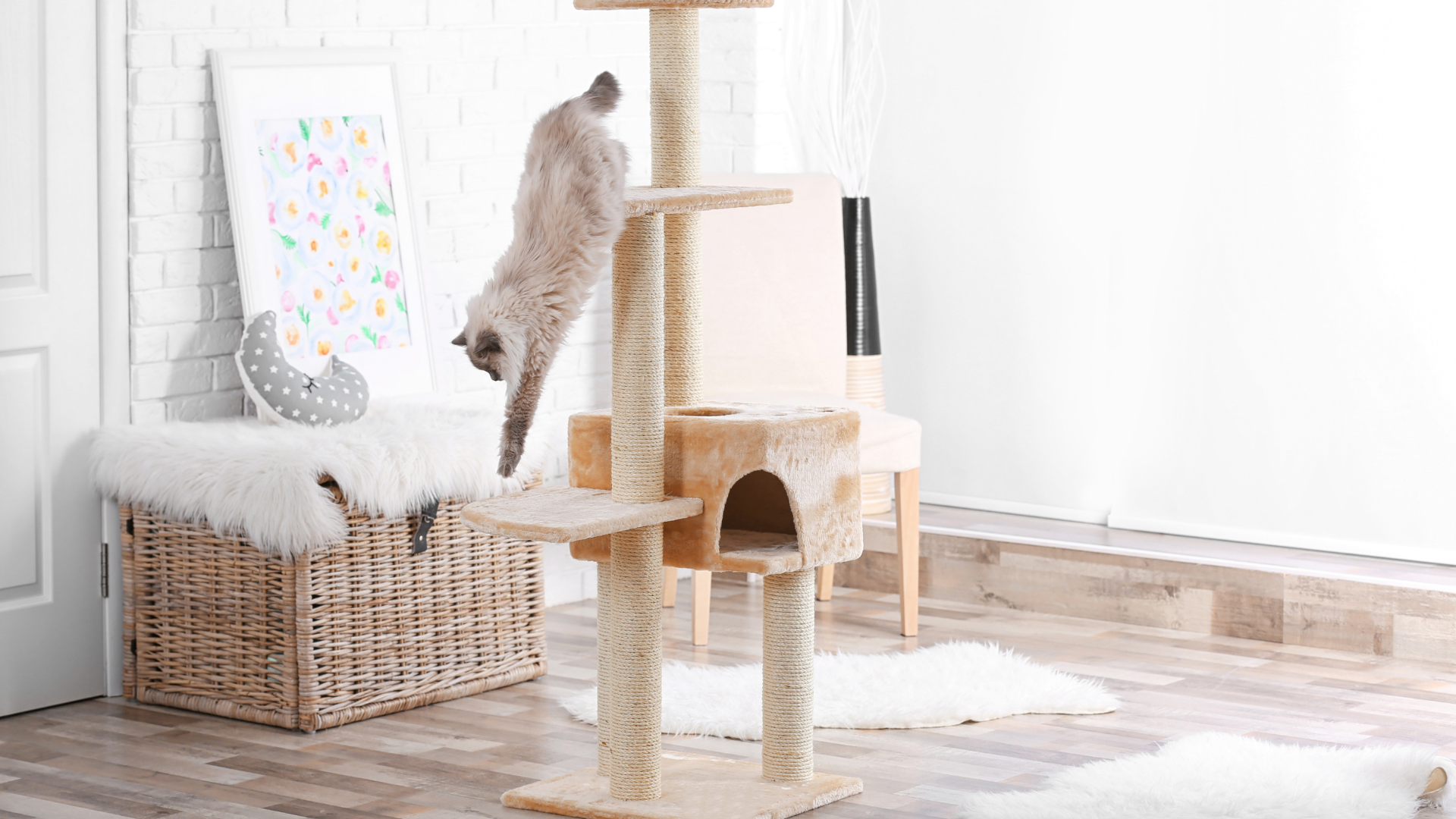 Pet-Friendly Flooring Solutions Pet-Friendly Flooring Solutions