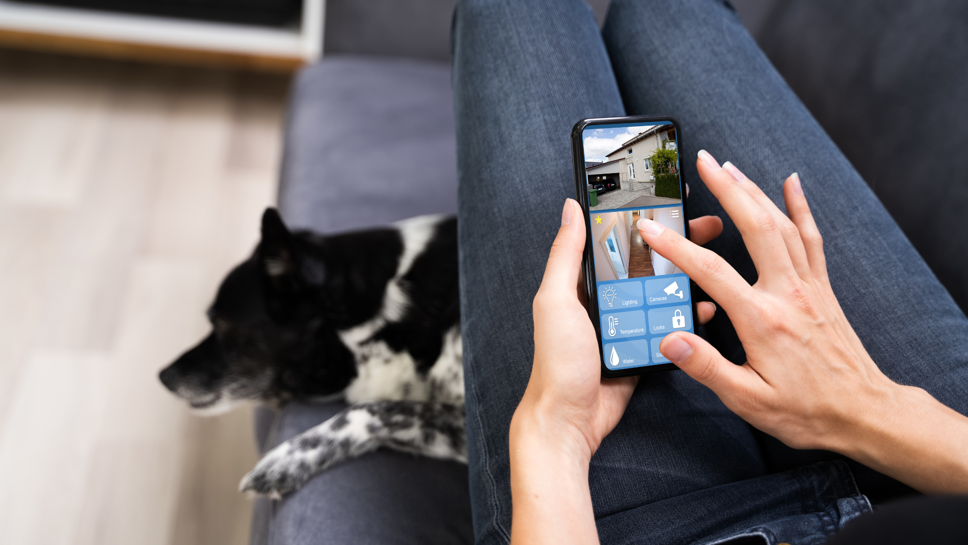 Pet-Friendly Home Security Systems