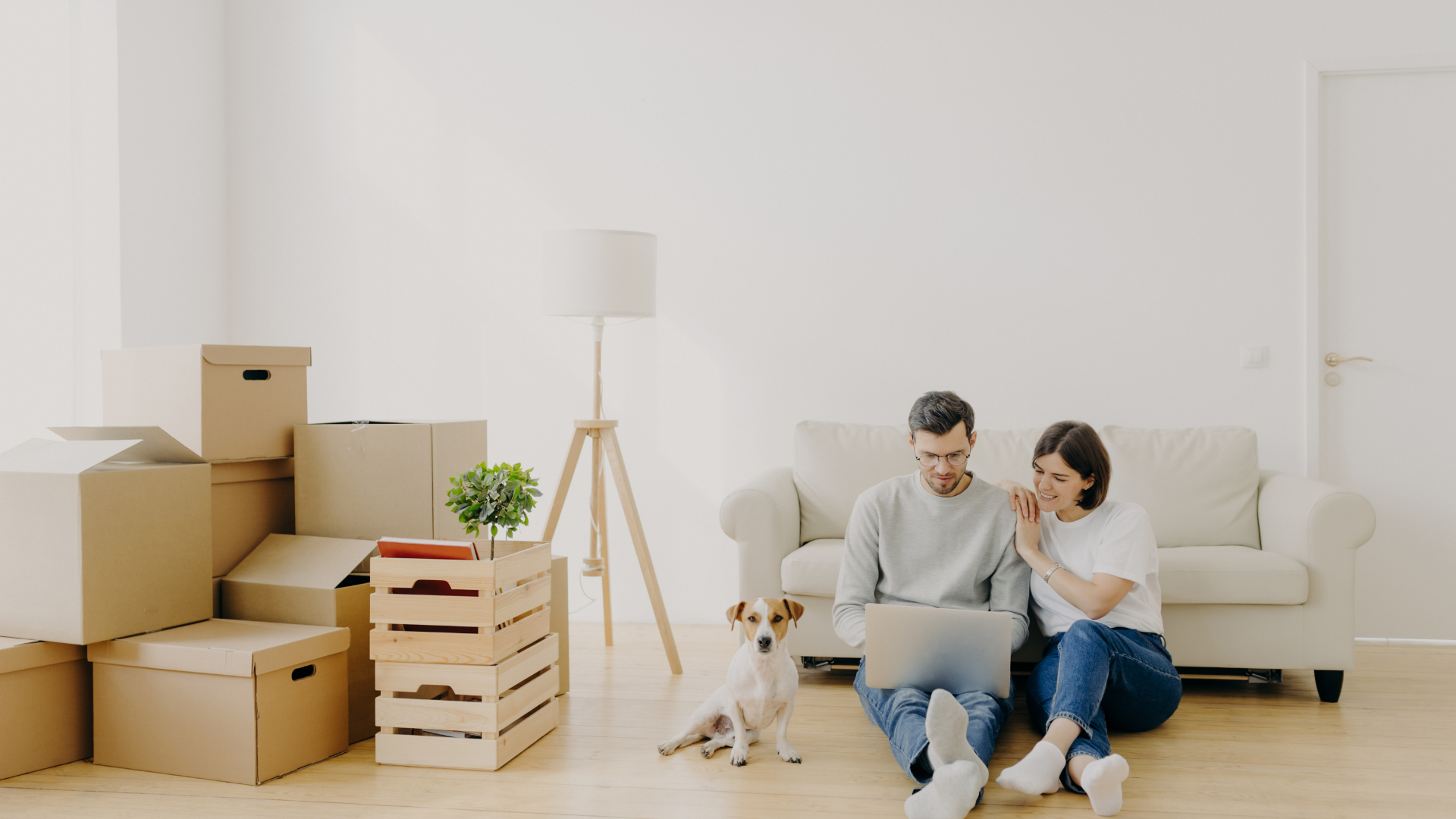 Pet Friendly Rental Pet Friendly Rental