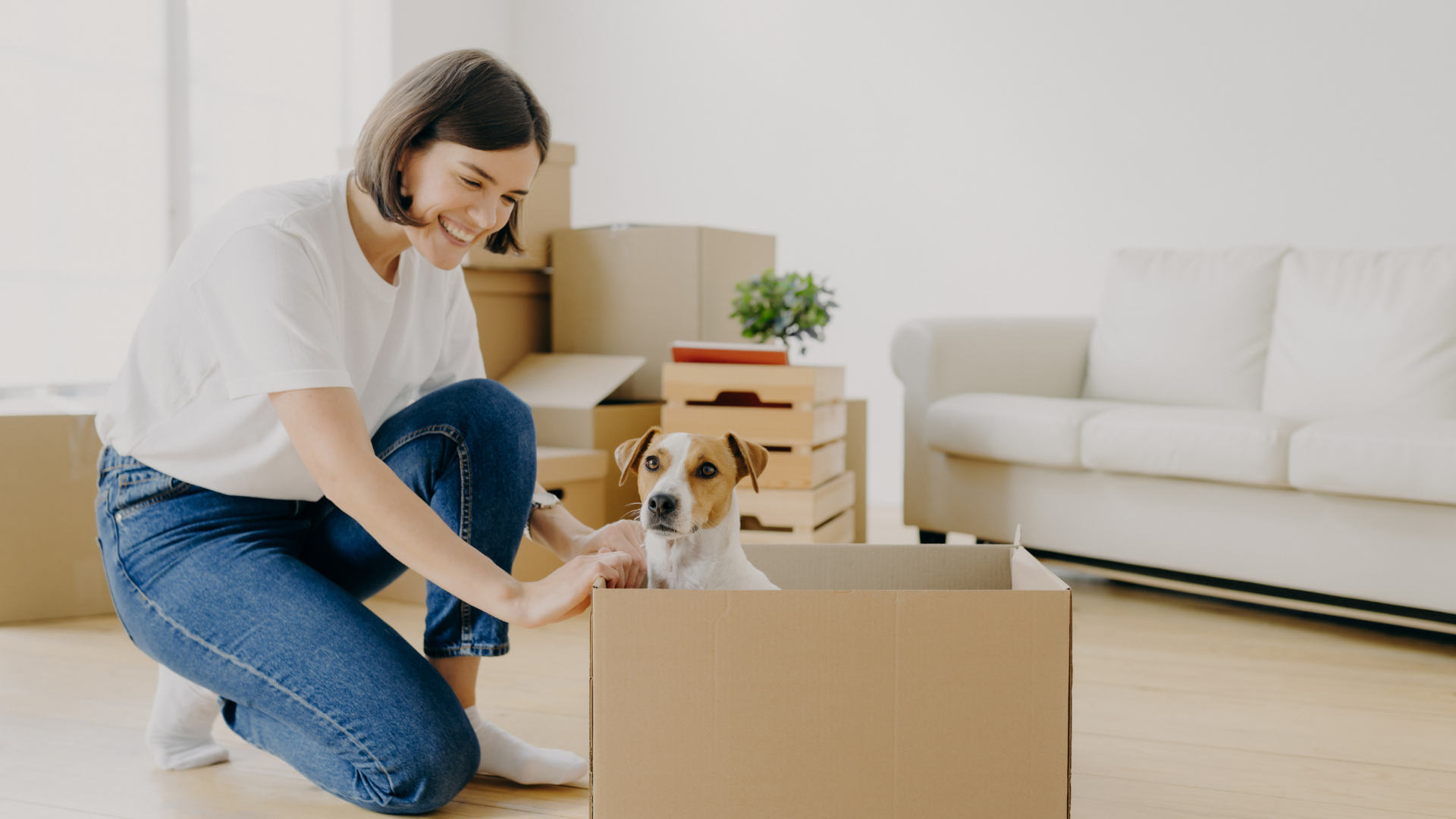 Pet friendly apartment