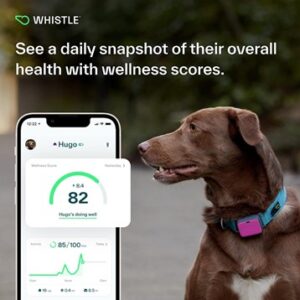 GPS Pet Tracker