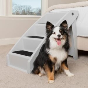 Pet Stairs
