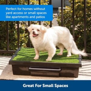 Portable Dog Potty