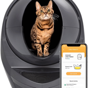 Automatic Litter Box