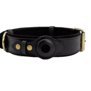 Luxury Health Tracker