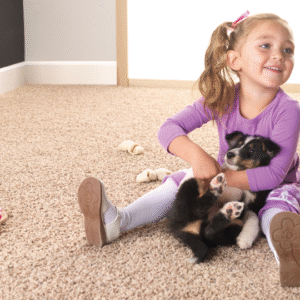 Stain-Resistant Carpet
