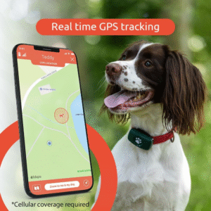 Activity and Health Monitor