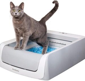 Budget-Friendly Automated Litter Box