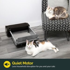 Odor-Eliminating Litter Box